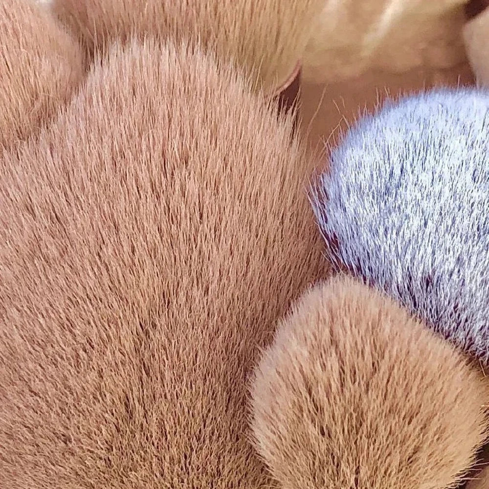 LuxeBlend™ (13 PCS Makeup Brushes Set - Eye Shadow, Foundation, Blush & Beauty Tools with Bag by GlamEssence)